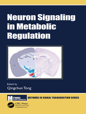cover image of Neuron Signaling in Metabolic Regulation